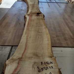 Box Elder 2