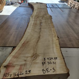Box Elder 3