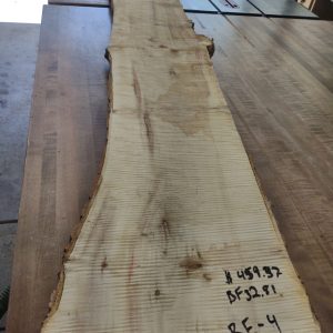 Box Elder 4