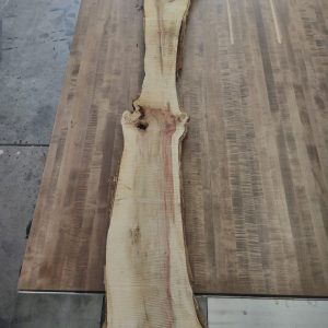 Box Elder 1