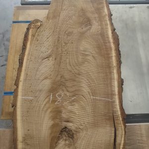 Elm-S 10