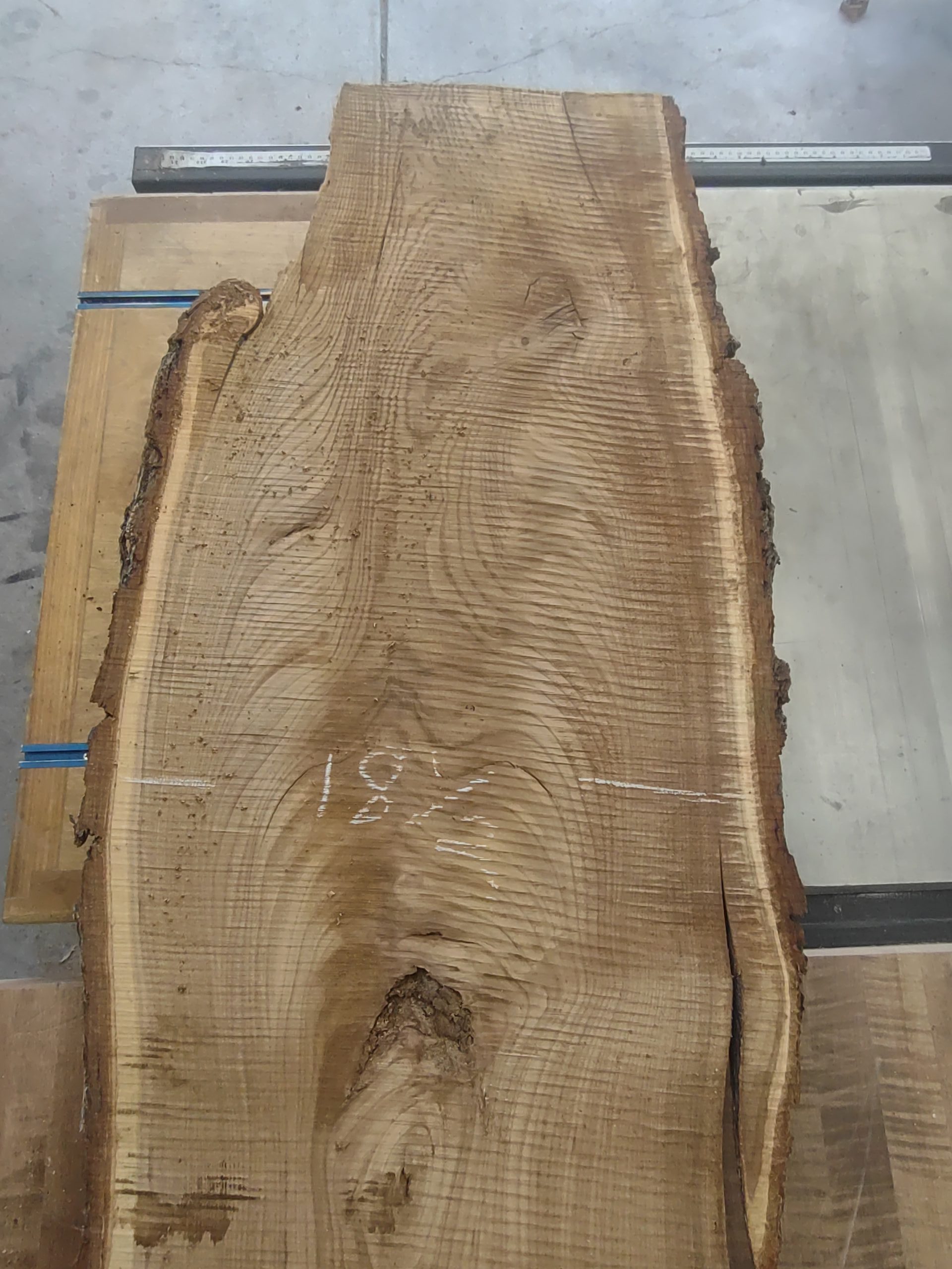 Elm-S 10