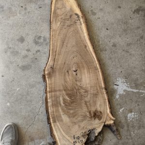 Elm-S 3
