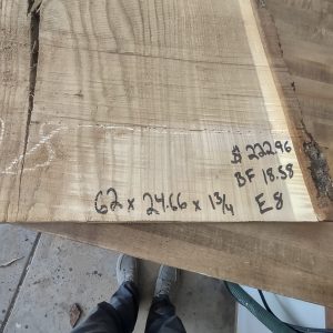 Elm-S 8